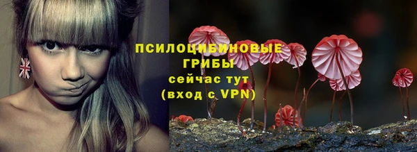 твердый Пестово
