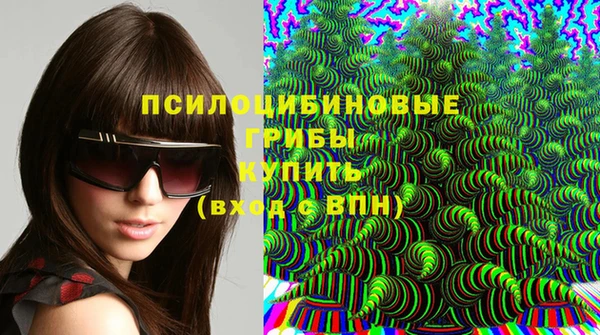 твердый Пестово