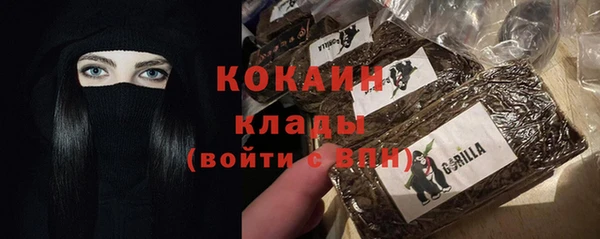 таблы Болотное