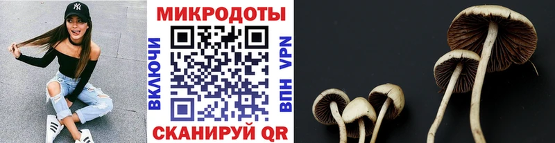 Псилоцибиновые грибы ЛСД Сорочинск