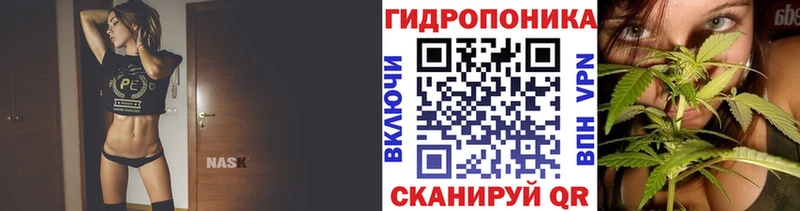 Бошки марихуана VHQ Сорочинск